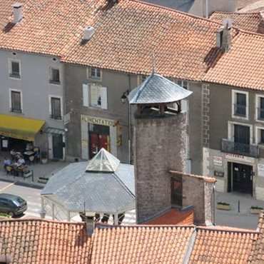 Hôtel du Rocher, Le Caylar, Hérault, proche Aveyron et A 75, chardons bleus